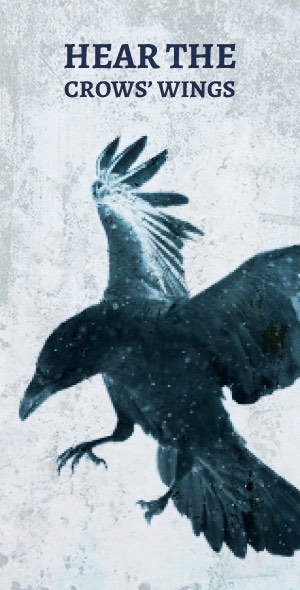 banner hear the crow wings